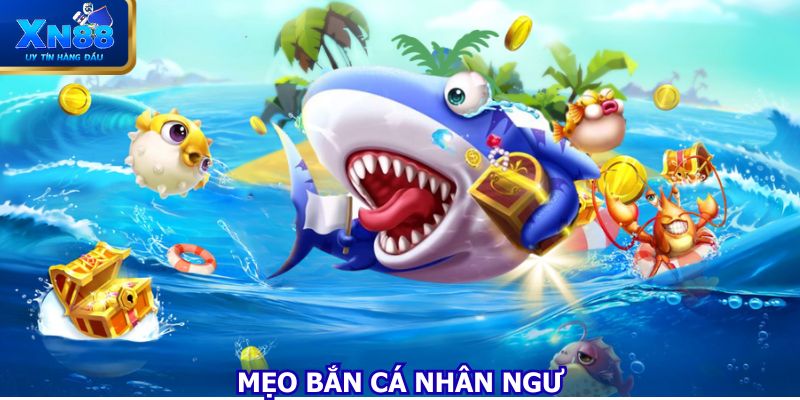 meo-ban-ca-nhan-ngu